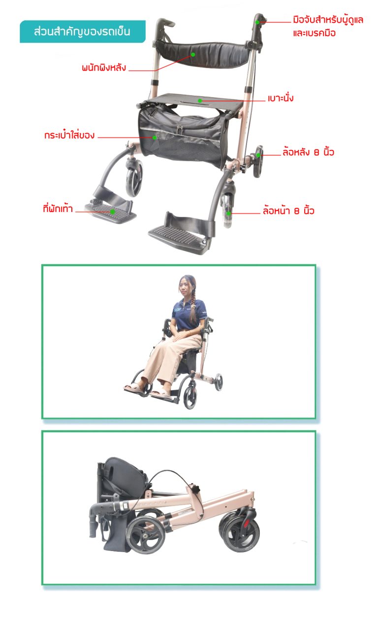 รถเข็นช่วยเดิน พยุงเดิน ผู้สูงอายุ คนชรา ผู้ป่วย Rollator รุ่น BT-54-Pinkgold